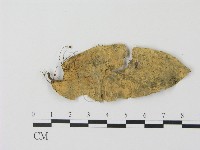 登錄號:F0015927藏品圖，第1張