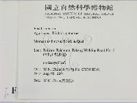 登錄號:F0015929藏品圖，第2張