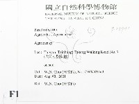 傘菌屬藏品圖，第2張