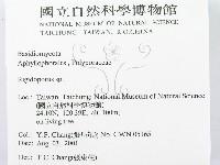 硬孔菌屬藏品圖，第2張