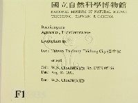 登錄號:F0015935藏品圖，第2張