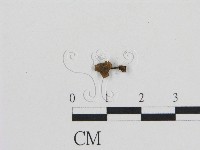 登錄號:F0015935藏品圖，第1張