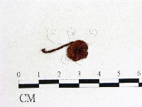 登錄號:F0015939藏品圖，第1張
