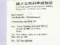 登錄號:F0015942藏品圖，第2張