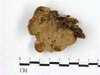 登錄號:F0015945藏品圖，第1張