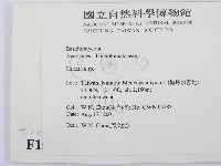 登錄號:F0015946藏品圖，第2張