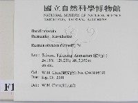 登錄號:F0015950藏品圖，第2張