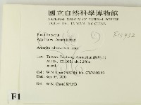 登錄號:F0015952藏品圖，第2張