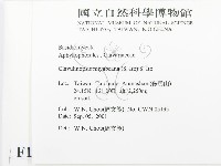 登錄號:F0015953藏品圖，第2張