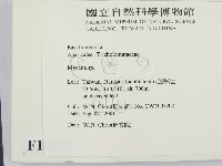 小菇屬藏品圖，第2張