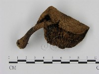 登錄號:F0015961藏品圖，第3張