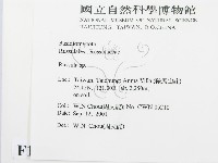 紅菇屬藏品圖，第2張