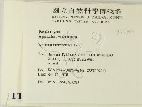 登錄號:F0015966藏品圖，第2張