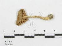 登錄號:F0015966藏品圖，第4張