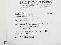 登錄號:F0015967藏品圖，第2張