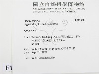 登錄號:F0015968藏品圖，第2張