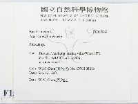 登錄號:F0015969藏品圖，第2張