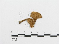 登錄號:F0015969藏品圖，第1張