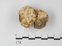 登錄號:F0015971藏品圖，第1張