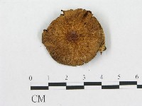 登錄號:F0015973藏品圖，第1張
