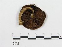 登錄號:F0015973藏品圖，第3張