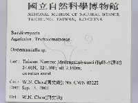 登錄號:F0015974藏品圖，第2張