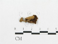 登錄號:F0015975藏品圖，第1張