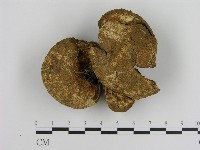 登錄號:F0015978藏品圖，第1張