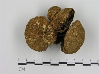 登錄號:F0015978藏品圖，第3張