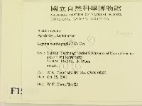 登錄號:F0015979藏品圖，第2張