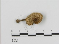 登錄號:F0015979藏品圖，第3張