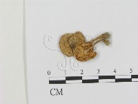 登錄號:F0015980藏品圖，第1張