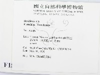 紅菇屬藏品圖，第2張