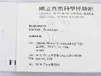 紅菇屬藏品圖，第2張