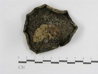 登錄號:F0015987藏品圖，第1張