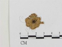 登錄號:F0015989藏品圖，第1張