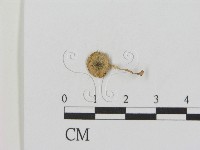 登錄號:F0015990藏品圖，第1張