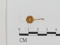 登錄號:F0015990藏品圖，第3張