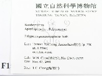 登錄號:F0015994藏品圖，第2張