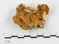 登錄號:F0015994藏品圖，第1張