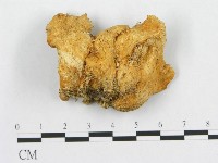 登錄號:F0015994藏品圖，第3張