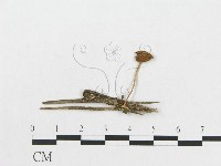 登錄號:F0015995藏品圖，第3張