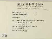 登錄號:F0015996藏品圖，第2張