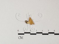 登錄號:F0015996藏品圖，第3張