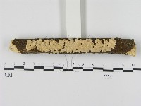 登錄號:F0015997藏品圖，第1張