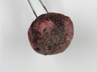 登錄號:F0015998藏品圖，第5張