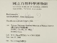 登錄號:F0015999藏品圖，第2張
