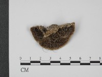 登錄號:F0016000藏品圖，第1張