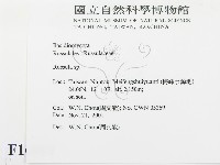 紅菇屬藏品圖，第2張