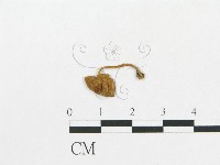 登錄號:F0016003藏品圖，第3張